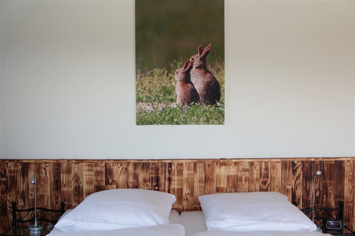 Schlafzimmer Kaninchen